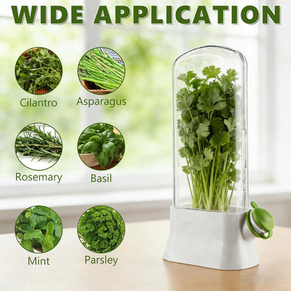 3 PCS Fresh Herb Keeper for Refrigerator, Herb Saver for Refrigerator, Cilantro Containers for Fridge, Herb Storage Containers for Cilantro Asparagus Mint Rosemary Parsley Basil for 2-3 Weeks