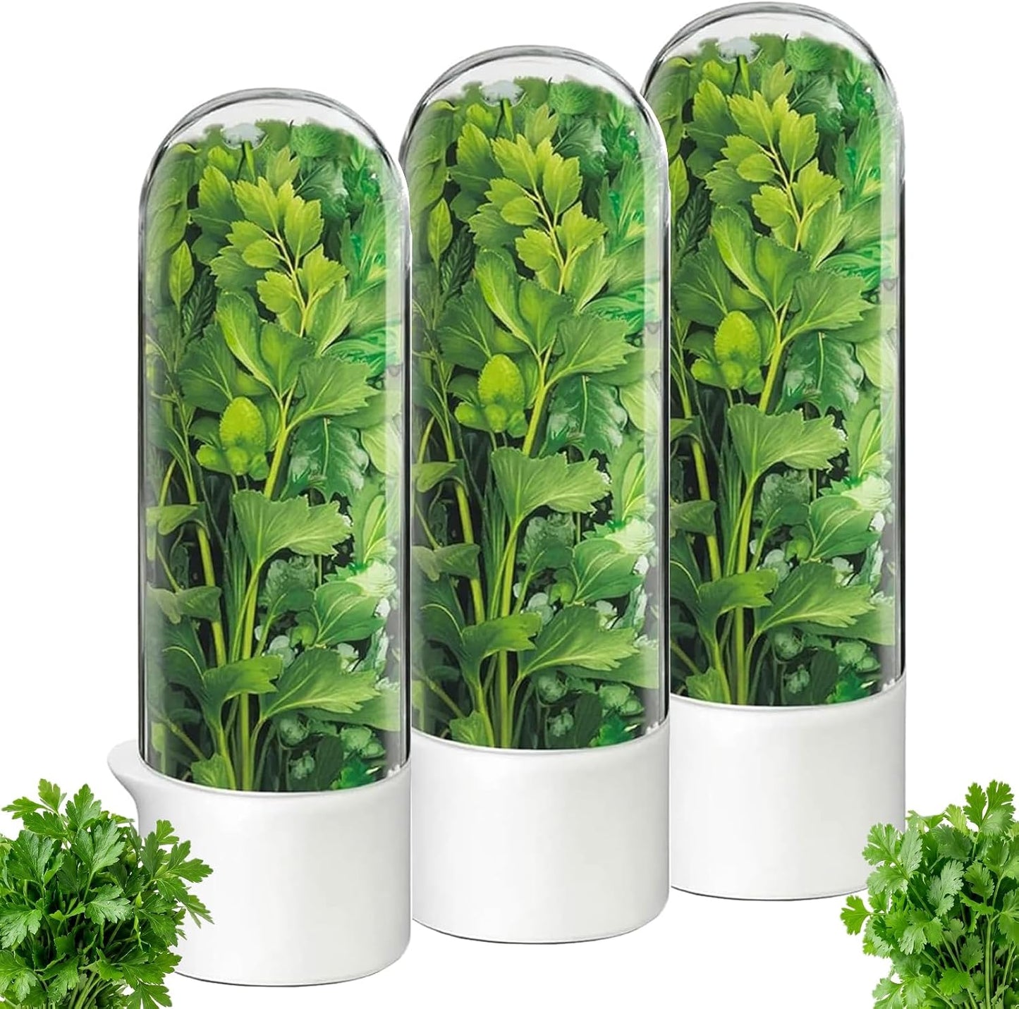 Herb Saver, Herb Keeper for Refrigerator, Cilantro Container for Fridge, Hard Shell Fresh Herb Storage for Asparagus, Parsley, Mint, Rosemary, Keeps Greens Fresh for 2-3 Weeks (3PCS)