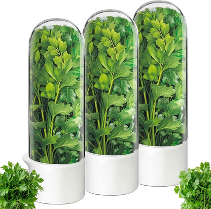 Herb Saver, Herb Keeper for Refrigerator, Cilantro Container for Fridge, Hard Shell Fresh Herb Storage for Asparagus, Parsley, Mint, Rosemary, Keeps Greens Fresh for 2-3 Weeks (3PCS)