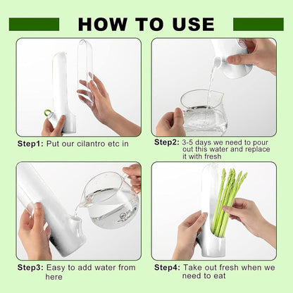 3Pack Herb Saver for Refrigerator for Cilantro, Parsley, Asparagus, Mint,Vegetable Preservation Containers, Keeps Greens Vegetables for 2-3 Weeks