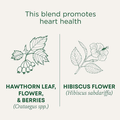 Traditional Medicinals Organic, Hibiscus Tea - Supports Normal Heart Health & Cardiovascular Wellness - Kosher, Non-GMO, Caffeine-Free, Compostable - 16 Tea Bags