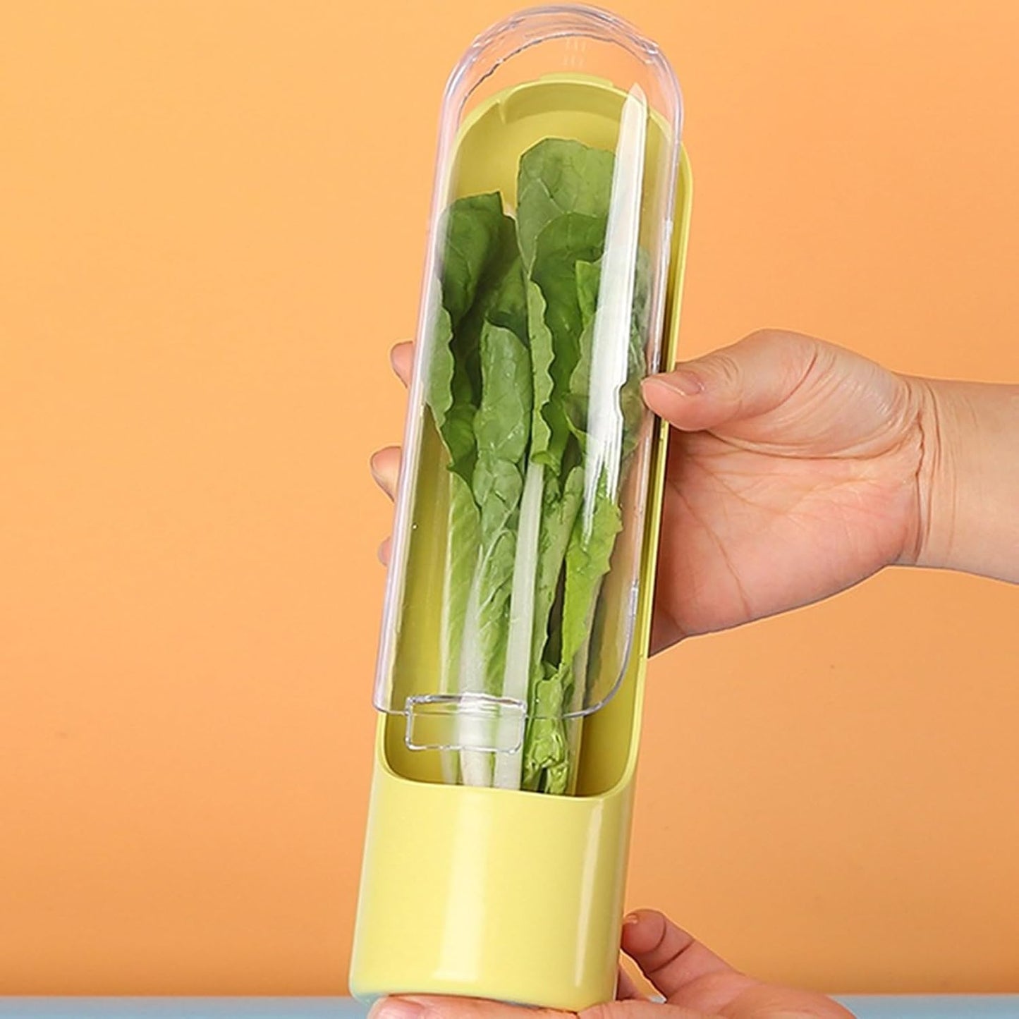 PP Herb Storage Container for Refrigerator, Long Lasting Greens Herb Keeper, Reusable Parsley Asparagus Mint Vegetable Preserver Cup with Drain Spout (Pink,1)