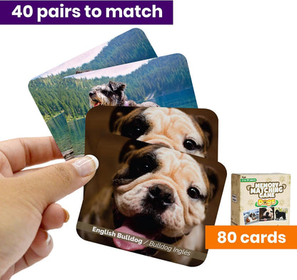 Menique Explore the World Memory Matching Game – Geography Game with 100 Photo Cards, 50 Countries, Flags & Landmarks – Travel Card Game with Educational Booklet, Ages 3+