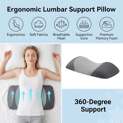 Lumbar Support Pillow for Sleeping,Premium Memory Foam Lower Back Pain Relief Bed Rest Support Pillows for Car Bed,Couch,Waist Support Care Cushion,Sleep Lumbar Pillow (Black Grey)