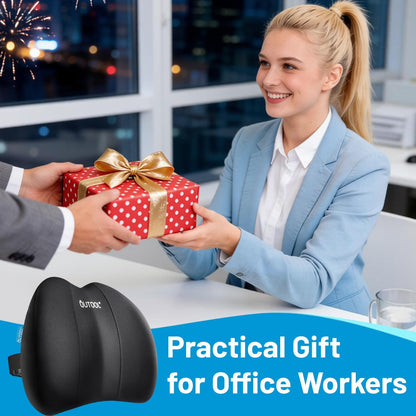 QUTOOL Lumbar Support for Office Chair Pressure Relief Improve Posture | Ergonomic Lower Back Support Pillow with Adjustable Straps,High-Density Memory Foam,Washable Cover,Long Sitting Comfort