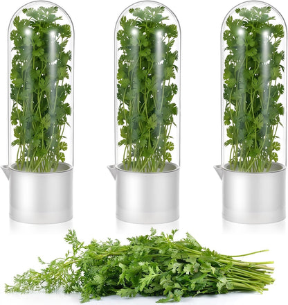 3PCS Herb Saver for Refrigerator, Fresh Herbs Lettuce Keeper for Refrigerator, Cilantro Container for Fridge Fres Parsley Mint Leaves Fresh Herb Keeper for Fresh for 2-3 Weeks