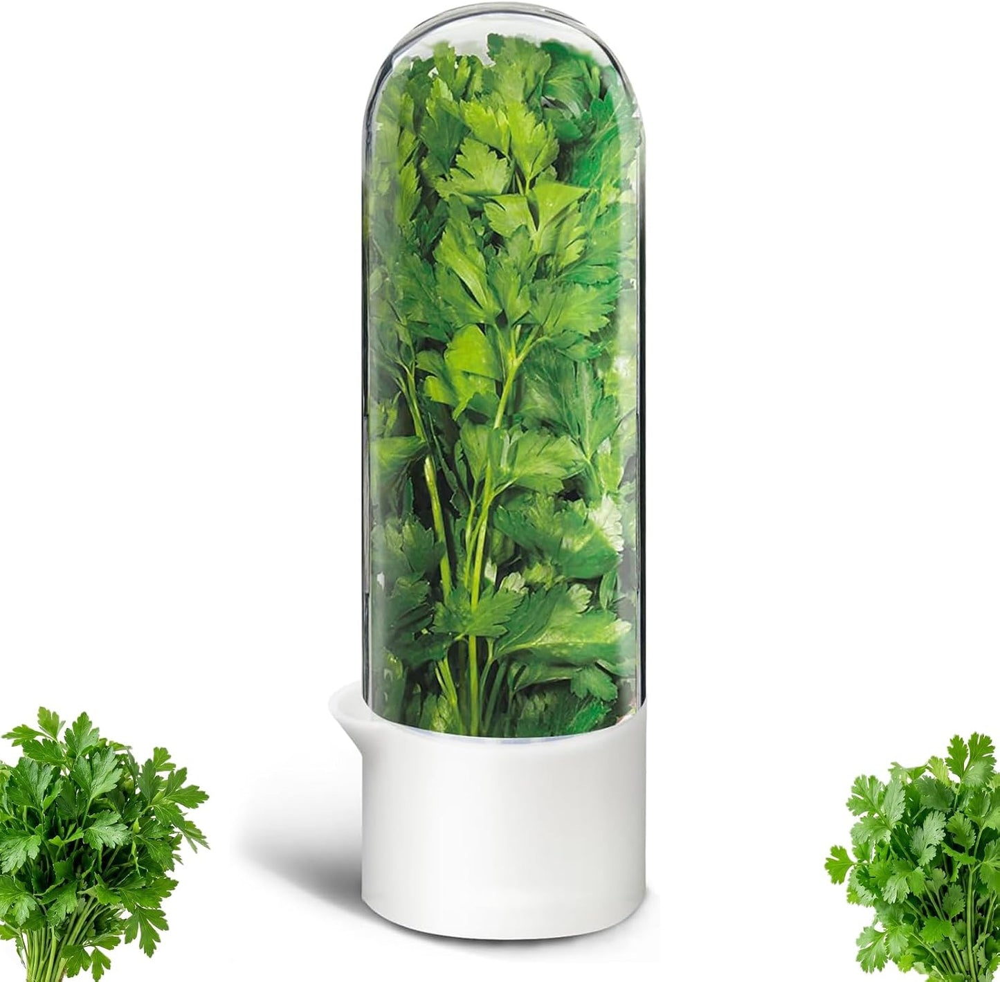 Herb Saver, Herb Keeper for Refrigerator, Cilantro Container for Fridge, Hard Shell Fresh Herb Storage for Asparagus, Parsley, Mint, Rosemary, Keeps Greens Fresh for 2-3 Weeks (3PCS)