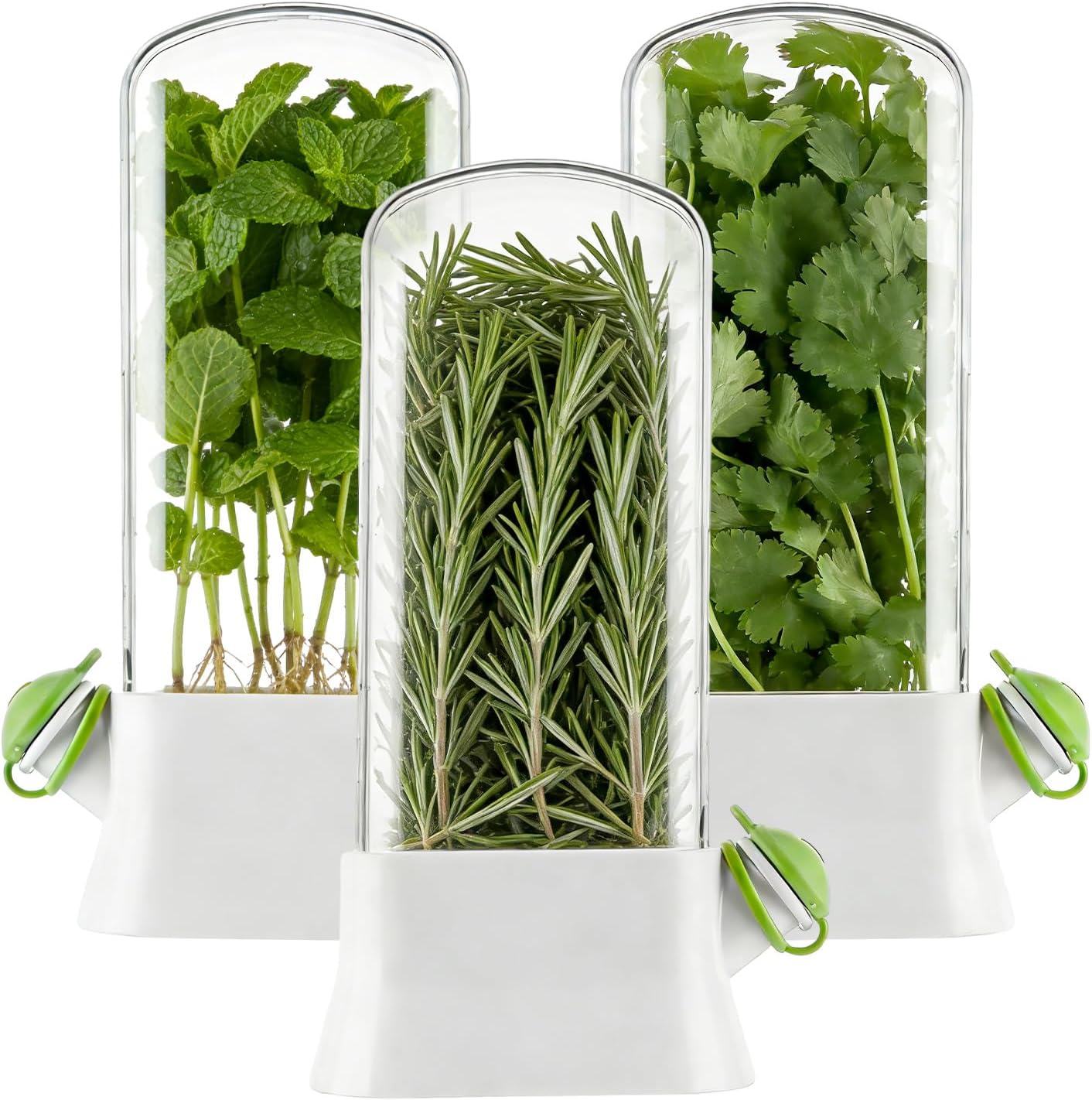 3 PCS Fresh Herb Keeper for Refrigerator, Herb Saver for Refrigerator, Cilantro Containers for Fridge, Herb Storage Containers for Cilantro Asparagus Mint Rosemary Parsley Basil for 2-3 Weeks