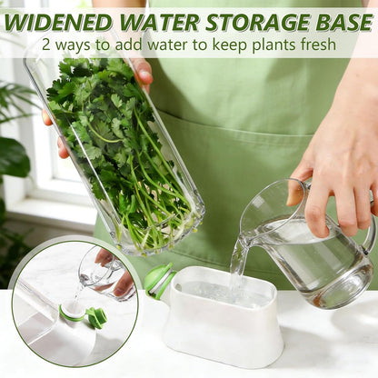 3 PCS Fresh Herb Keeper for Refrigerator, Herb Saver for Refrigerator, Cilantro Containers for Fridge, Herb Storage Containers for Cilantro Asparagus Mint Rosemary Parsley Basil for 2-3 Weeks