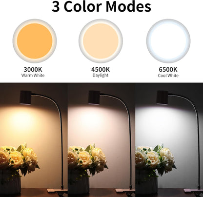 Desk Lamp USB Clip On Light,Book Lights for Reading at Night Clamp Light