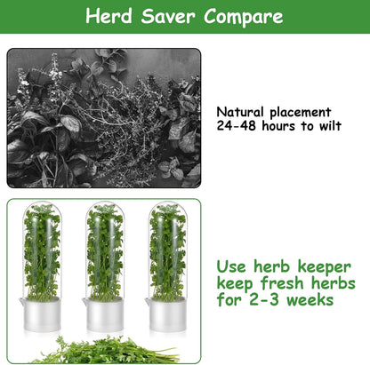 3PCS Herb Saver for Refrigerator, Fresh Herbs Lettuce Keeper for Refrigerator, Cilantro Container for Fridge Fres Parsley Mint Leaves Fresh Herb Keeper for Fresh for 2-3 Weeks