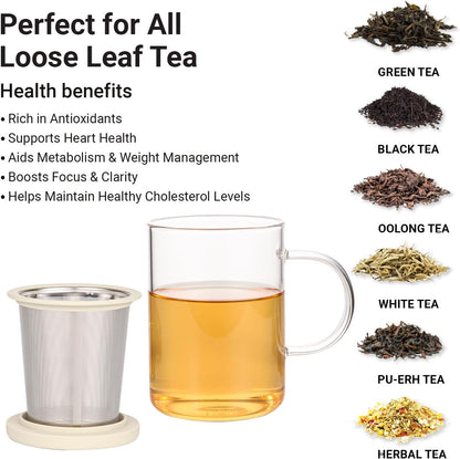 emoi 15 oz Glass Tea Cup with Infuser & Lid, Ideal for Loose Leaf Tea, Gray | Tea Mug with Extra Fine Mesh 304 Stainless Steel Steeper & Silicone Lid, Brew a Perfect Cup Easily at Home or Office