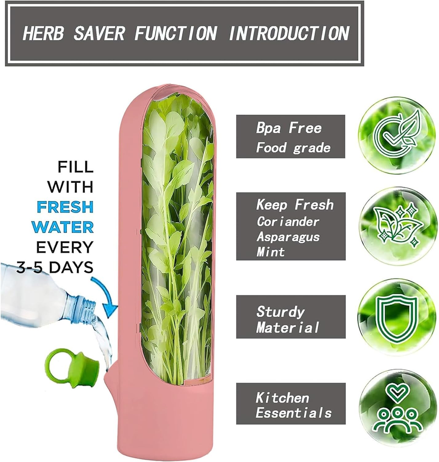 Herb Keeper for Refrigerator, Herb Saver for Refrigerator, Vegetable Preservation Bottle for Cilantro, Mint, Parsley, Asparagus, Keeps Greens Fresh for 2-3 Weeks (Green)