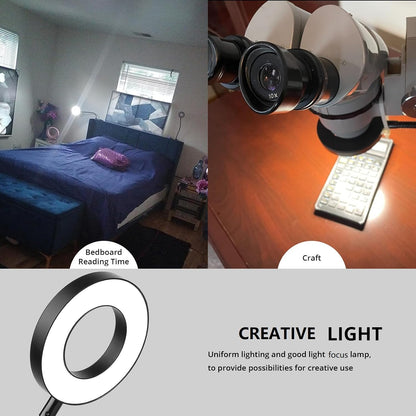 Woputne Desk Lamp Clip on Light for Bed Book Reading (Black) | 10 Dimmable Brightness 3 Light Modes Desk Lights for Home Office Clamp Bedside Lamp for Painting, Craft, Study