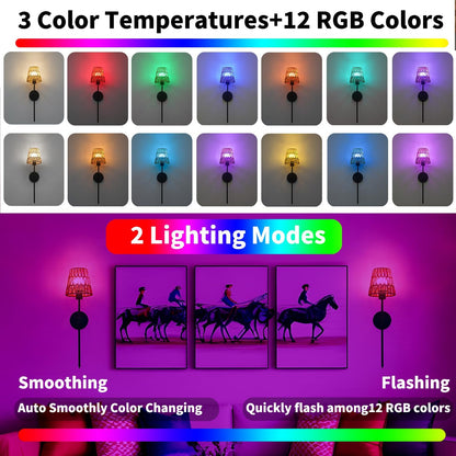 Boho Battery Operated Wall Sconces, Rattan Wall Sconce Set of 2 with Remote, RGB 15 Colors Dimmable Rechargeable Wall Light, Black Indoor Wireless Wall Lamp, Farmhouse Rattan Wall Lighting for Bedroom