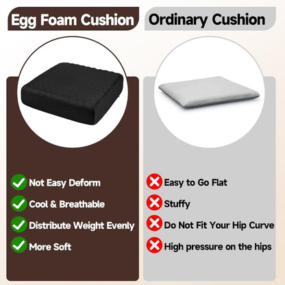 HOMBYS Egg Shaped Foam Recliner Chair Cushion for Elderly, 20×20×5inch Thicken & Extra Large Seat Cushion Cahir Pad for Couch, Armchair, Wheelchair for Easy to Reduce Hip & Lumbar Pain, Black