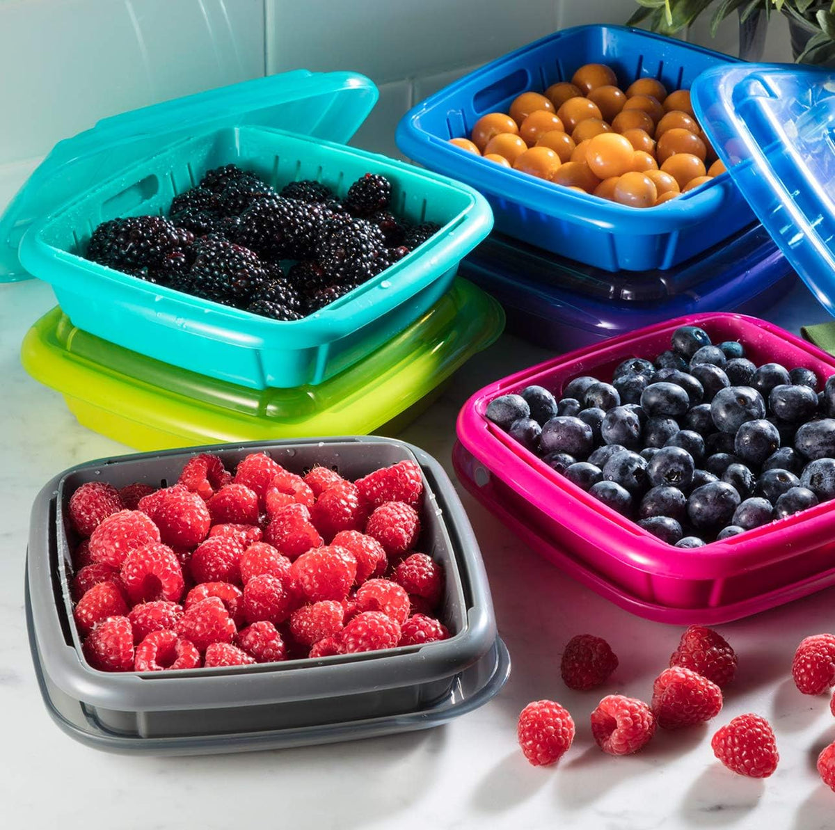 Hutzler 3-in-1 Bitty Box Berry Keeper, Berry Colander & Saver Container, 9oz / 1 Cup Capacity, Blue