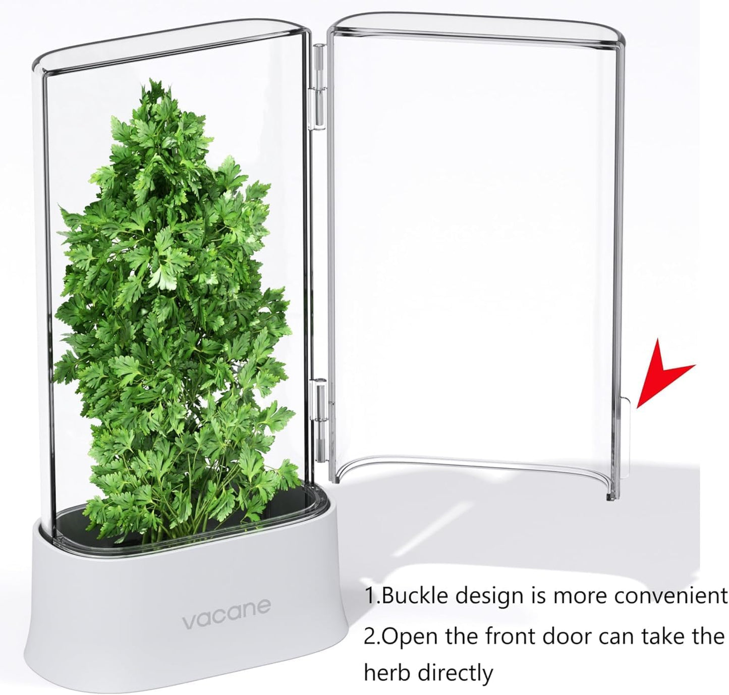 Green Saver Herb Keeper – Refrigerator Storage Container for Cilantro, Asparagus, Fresh Herbs, Dishwasher Safe, Extends Freshness 10 Days – 2 Pack