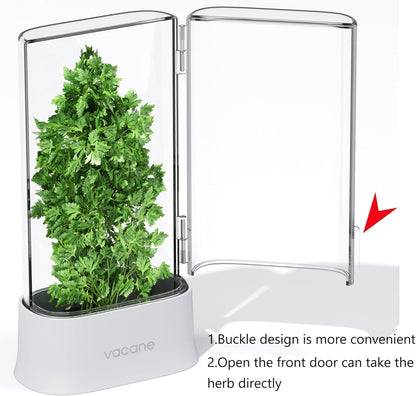 Green Saver Herb Keeper – Refrigerator Storage Container for Cilantro, Asparagus, Fresh Herbs, Dishwasher Safe, Extends Freshness 10 Days – 2 Pack