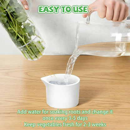 4 PCS Fresh Herb Keeper for Refrigerator, Herb Saver for Refrigerator, Cilantro Containers for Fridge, Herb Storage Containers for Cilantro Asparagus Mint Rosemary Parsley Basil for 2-3 Weeks