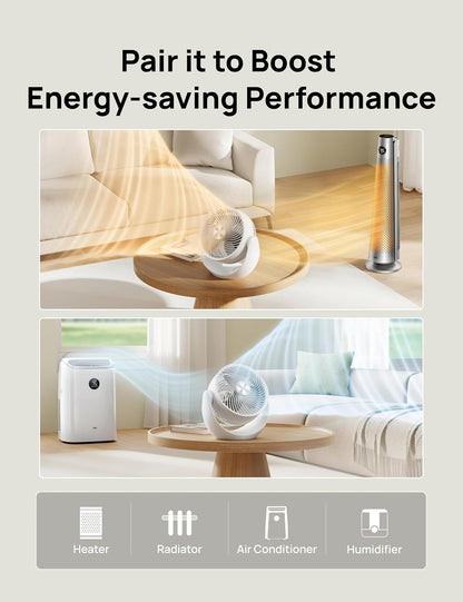 DREO Fan for Bedroom, Table Air Circulator for Whole Room, 11 Inch, 60ft Strong Airflow, 120° adjustable tilt, 20db Low Noise, Quiet, 3 Speeds, Desk Fan for Home,Office, Kitchen