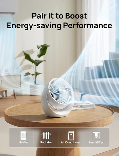 DREO Fan for Bedroom, Table Air Circulator for Whole Room, 11 Inch, 60ft Strong Airflow, 120° adjustable tilt, 20db Low Noise, Quiet, 3 Speeds, Desk Fan for Home,Office, Kitchen
