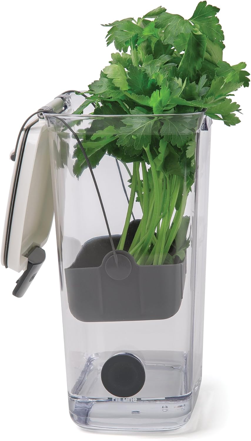 ProKeeper Herb Keeper with Removable Silicone Drain Plug, BPA-Free Plastic | Stores 1 to 3 Bunches Of Herbs Or Keeps Asparagus Hydrated, Removable Basket for Easy Access and Drainage, Dishwasher Safe