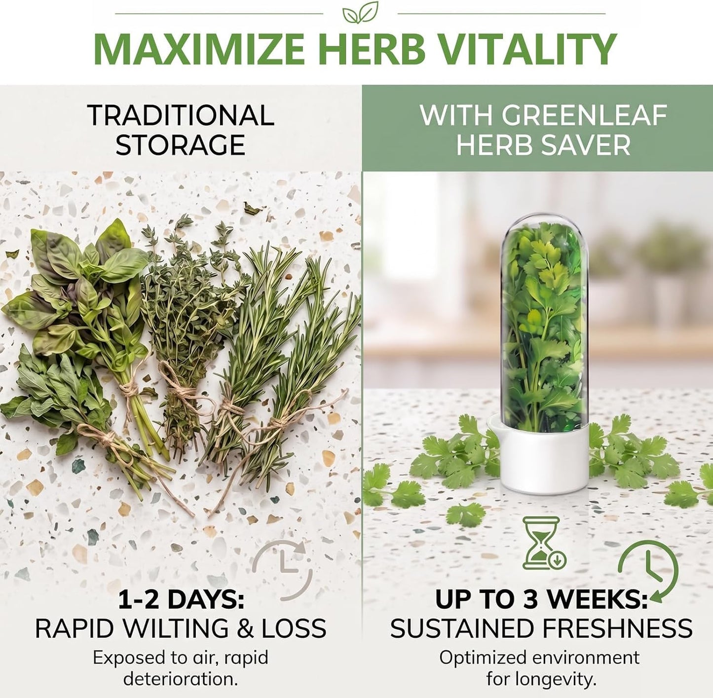 Herb Saver, Herb Keeper for Refrigerator, Cilantro Container for Fridge, Hard Shell Fresh Herb Storage for Asparagus, Parsley, Mint, Rosemary, Keeps Greens Fresh for 2-3 Weeks (3PCS)