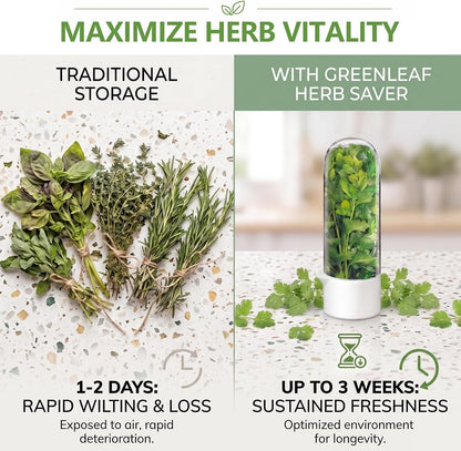 Herb Saver, Herb Keeper for Refrigerator, Cilantro Container for Fridge, Hard Shell Fresh Herb Storage for Asparagus, Parsley, Mint, Rosemary, Keeps Greens Fresh for 2-3 Weeks (3PCS)