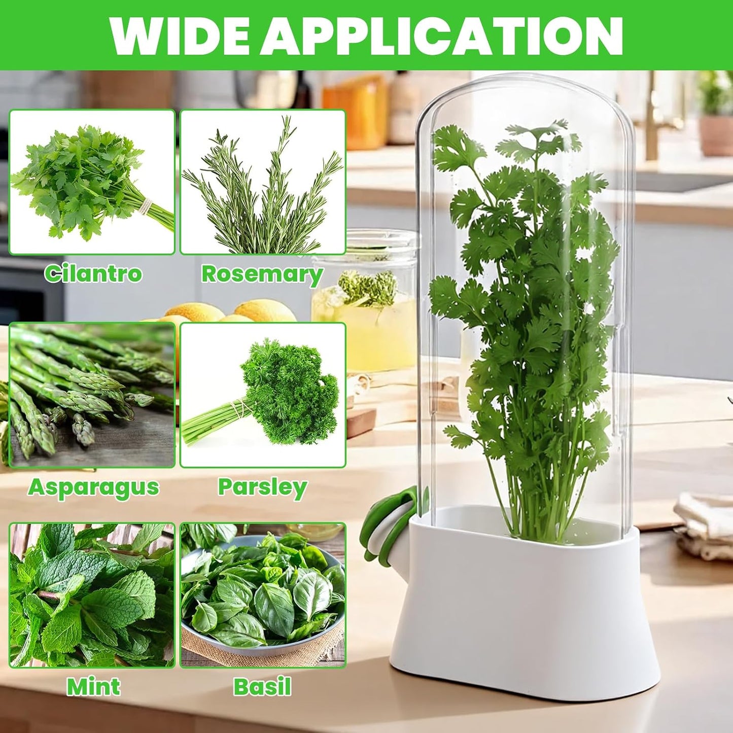 2 Pcs Refrigerator Fresh Green Keeper for Cilantro, Parsley, Asparagus – White Round Pod Container with Silicone Seal, 10.6 x 5.12 x 2.87 Inches, Keeps Greens Fresh Up to 3 Weeks