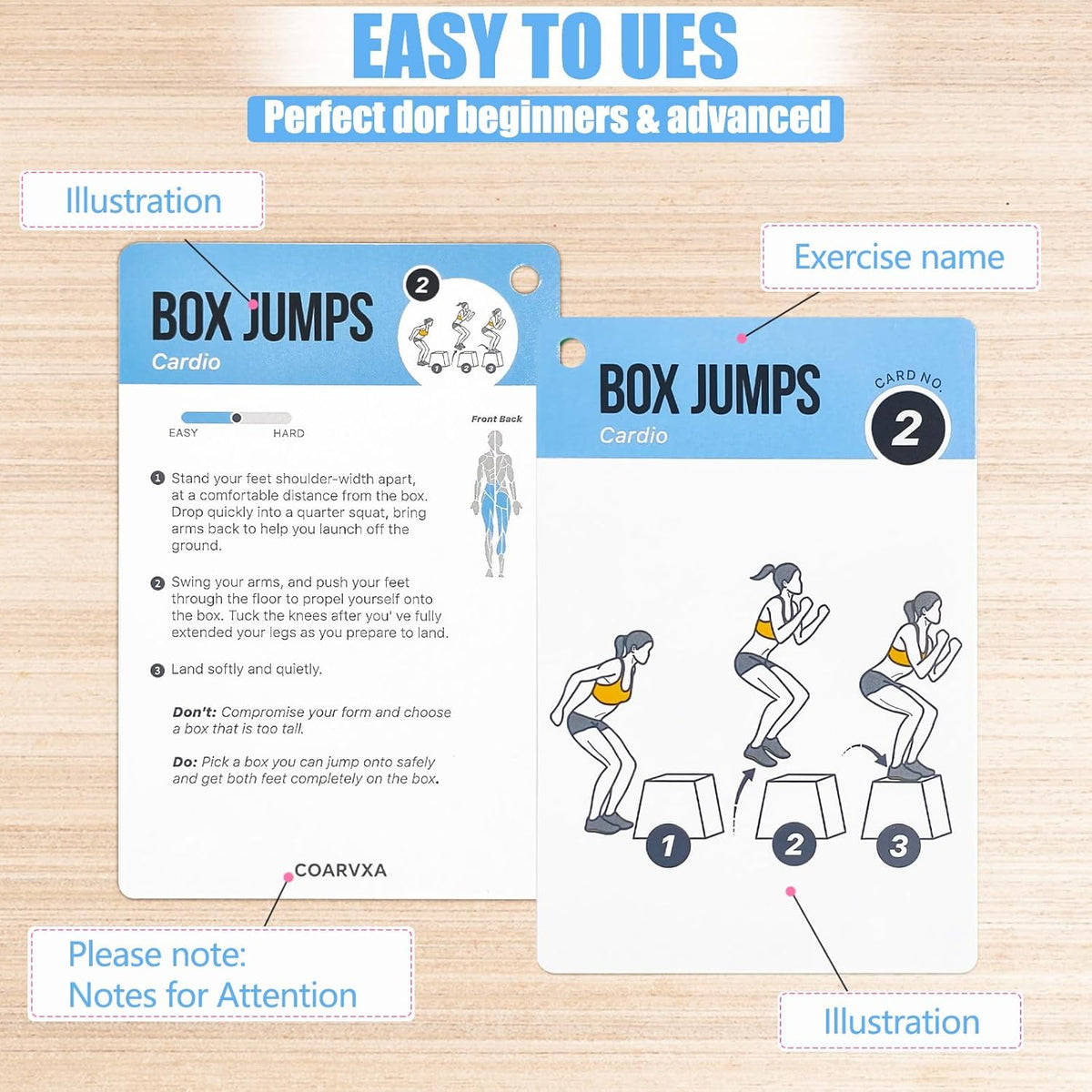 Bodyweight Workout Cards for Women & Men-50 Bodyweight Workout Cards，Includes 2 Rings& Dry-Erase for Easy Organization-Home, Gym or Studio (Bodyweight)