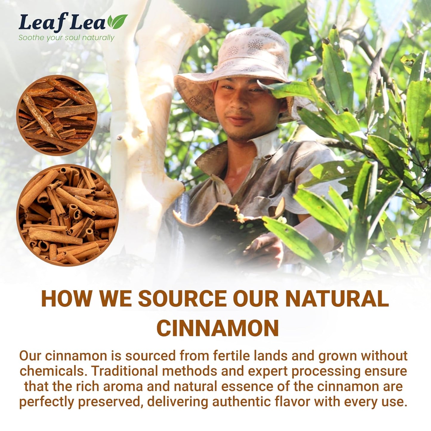 LeafLea 40 Turmeric Ginger Cinnamon Tea Bags, 100% Natural Ingredients Herbal Tea, Turmeric Ginger Herbal Blend for Wellness, Vegan, No Sugar, Caffeine-Free, Individually Wrapped for Freshness