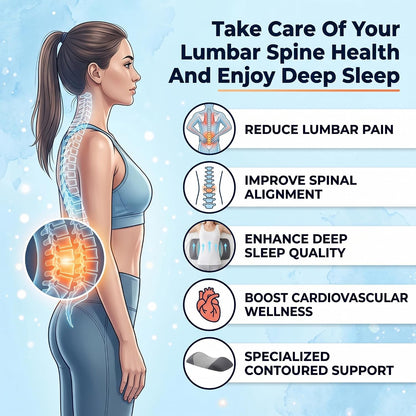 Lumbar Support Pillow for Sleeping,Premium Memory Foam Lower Back Pain Relief Bed Rest Support Pillows for Car Bed,Couch,Waist Support Care Cushion,Sleep Lumbar Pillow (Black Grey)