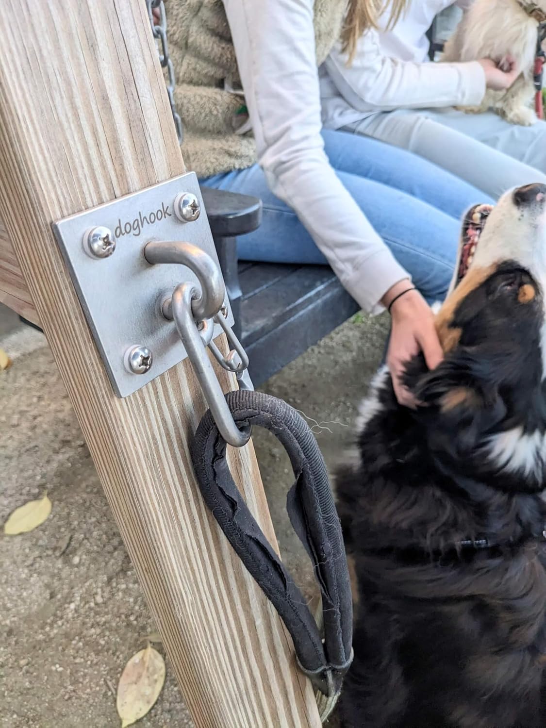 Canine Hitch- Secure Dog Leash Parking Indoor- Outdoor Wall Hook with Clip - Tie Out Stainless Steel - Practical Lead Management for Home & Business