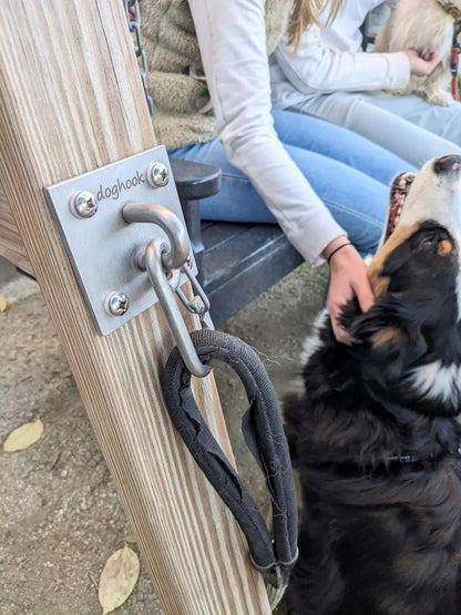 Canine Hitch- Secure Dog Leash Parking Indoor- Outdoor Wall Hook with Clip - Tie Out Stainless Steel - Practical Lead Management for Home & Business