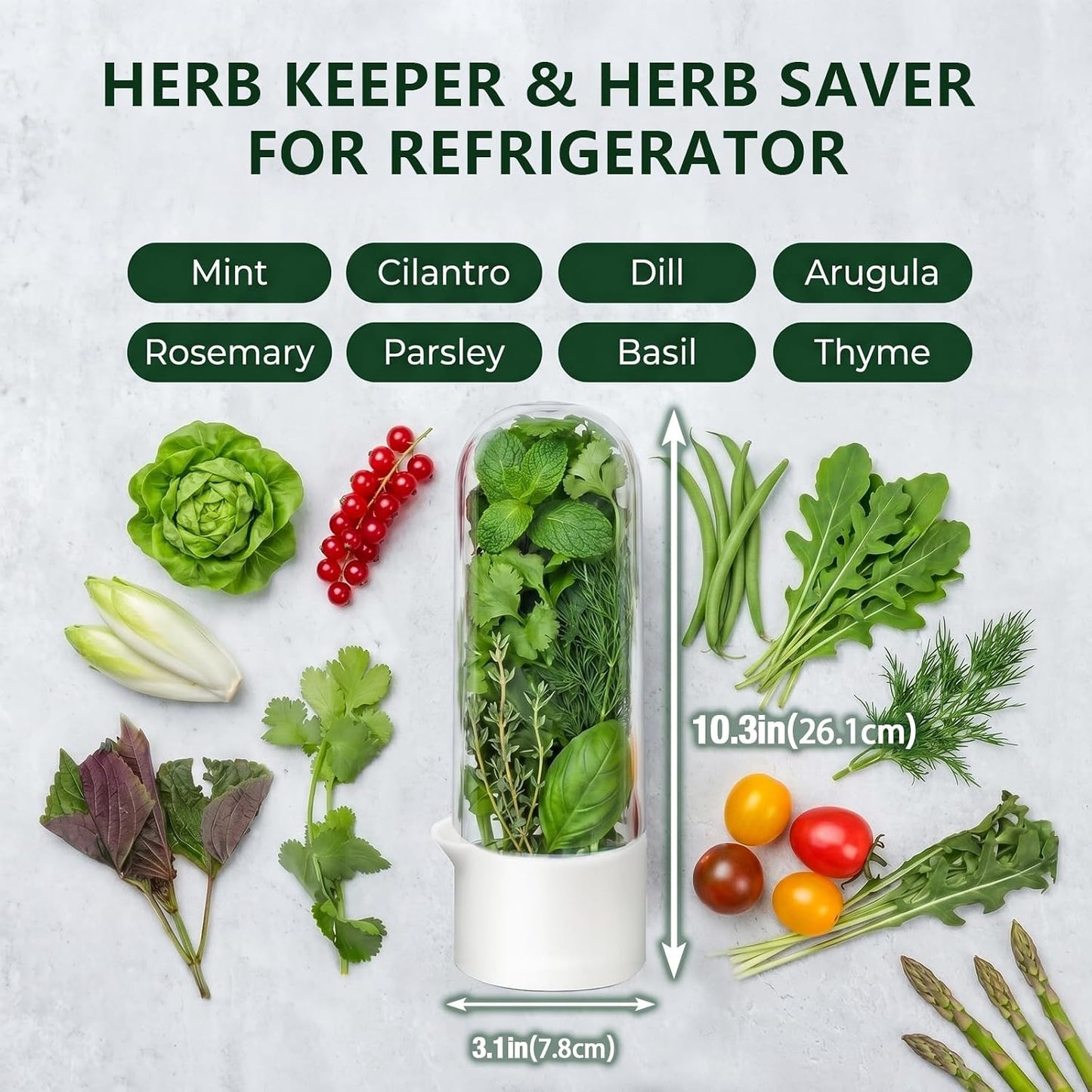 Herb Saver, Herb Keeper for Refrigerator, Cilantro Container for Fridge, Hard Shell Fresh Herb Storage for Asparagus, Parsley, Mint, Rosemary, Keeps Greens Fresh for 2-3 Weeks (3PCS)