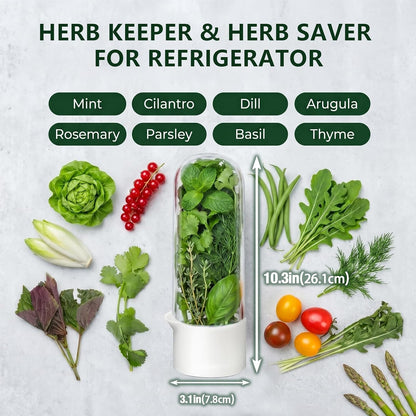 Herb Saver, Herb Keeper for Refrigerator, Cilantro Container for Fridge, Hard Shell Fresh Herb Storage for Asparagus, Parsley, Mint, Rosemary, Keeps Greens Fresh for 2-3 Weeks (3PCS)