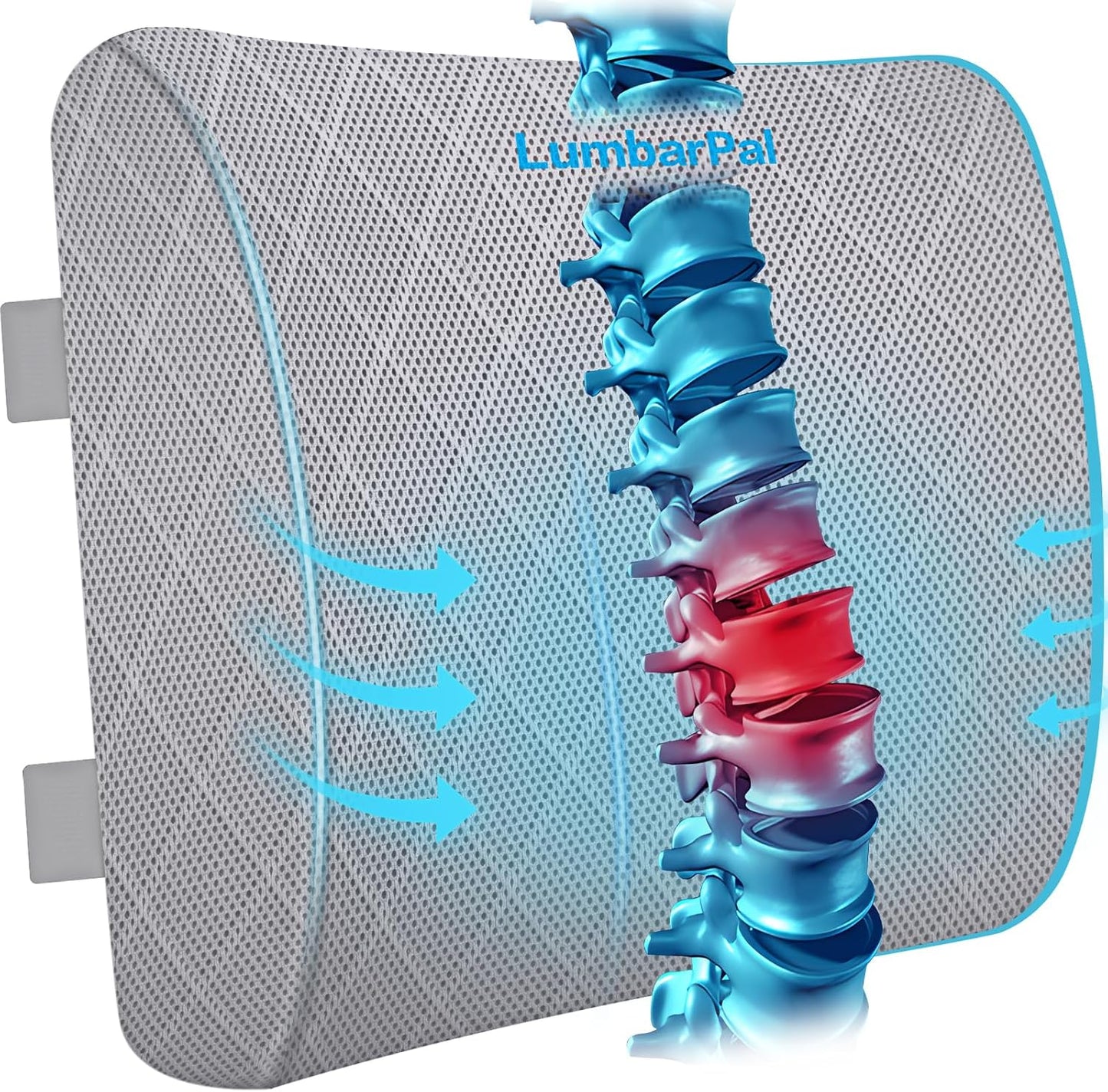 Lumbar Support Pillow for Office Chair, Back Support, Memory Foam, Grey | Improve Sitting Posture & Back Pain Relief. Lumbar Pillow Fits Office, Gaming & Car Chairs with Adjustable Dual Straps
