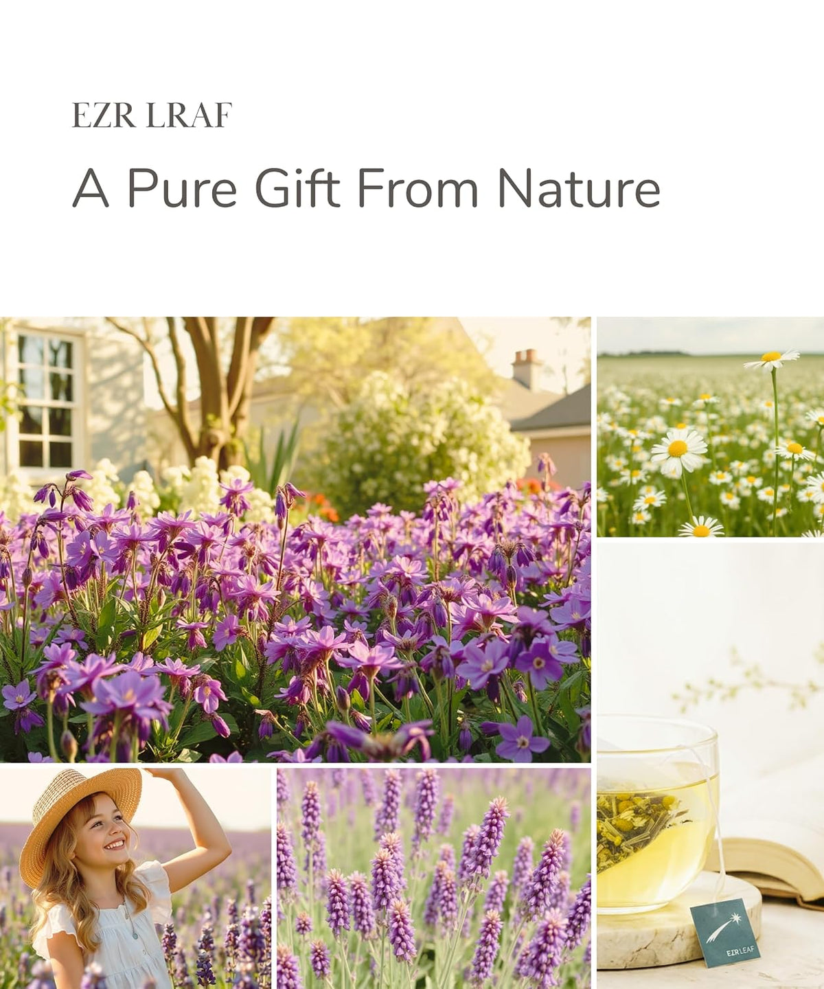 EZR LEAF Pura Herbal Tea Sampler - 22ct Caffeine-Free Tea Variety Gift Set