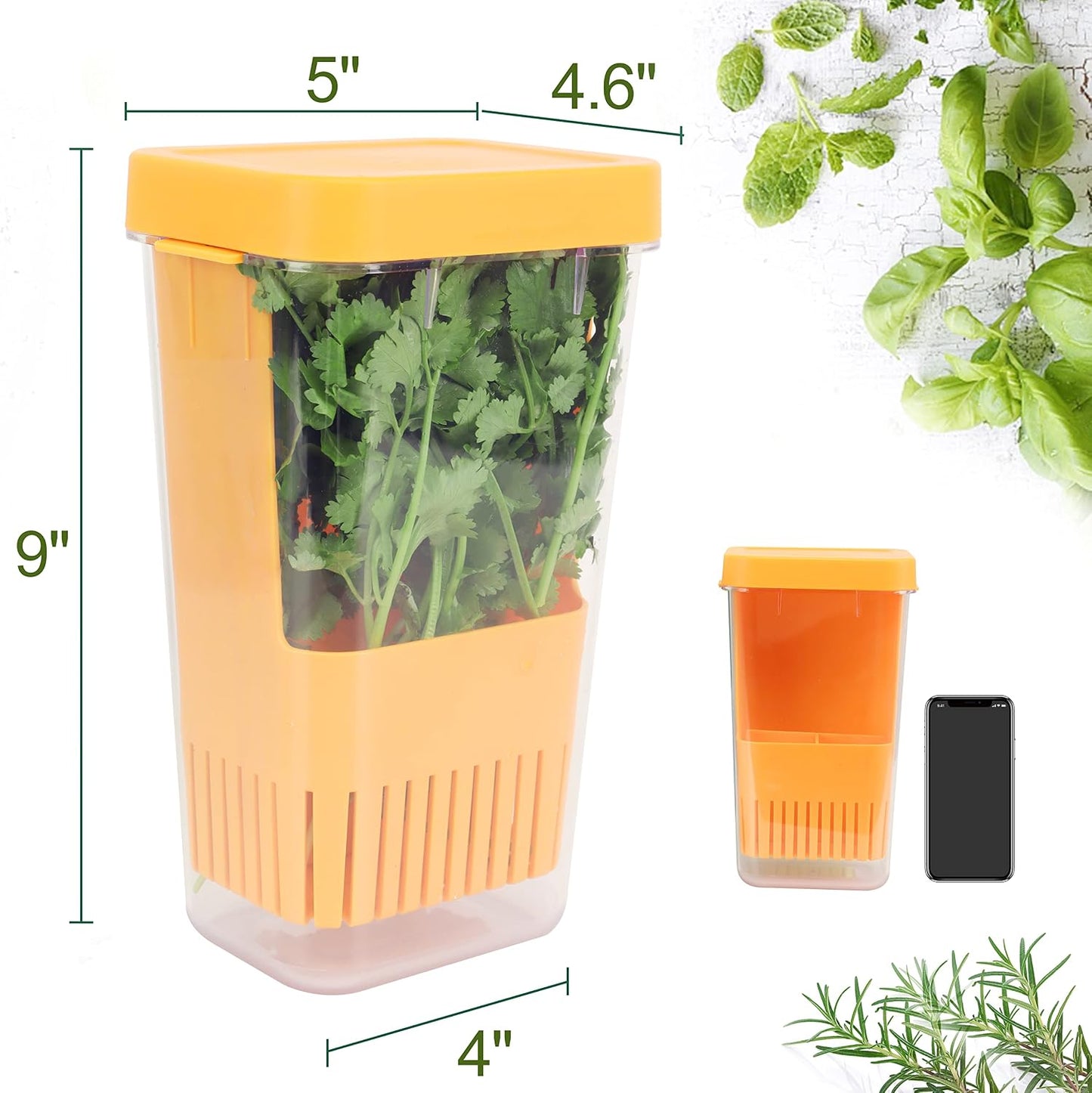 LUVCOSY 3 Pack Herb Keeper, BPA-Free Plastic Herb Saver with an Inner Basket for Cilantro, Mint, Parsley, and Asparagus, Keeps Fresh Herbs for 3 Times Longer