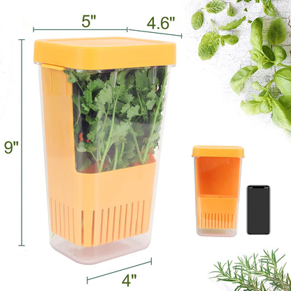 LUVCOSY 3 Pack Herb Keeper, BPA-Free Plastic Herb Saver with an Inner Basket for Cilantro, Mint, Parsley, and Asparagus, Keeps Fresh Herbs for 3 Times Longer