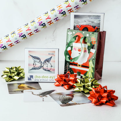 (ho-dee-ay) Birds - Dementia Activity Developed by Caregivers - a Great Gift for Seniors - Simple and Engaging Photo Cards