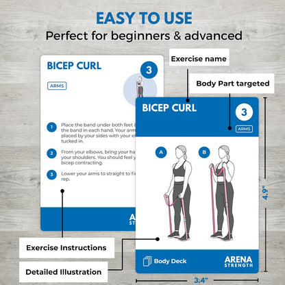 Arena Strength Workout Cards - Instructional Fitness Deck for Booty Band Workouts, Beginner Fitness Guide for Resistance Band Training Exercises at Home. Includes Workout Routines.