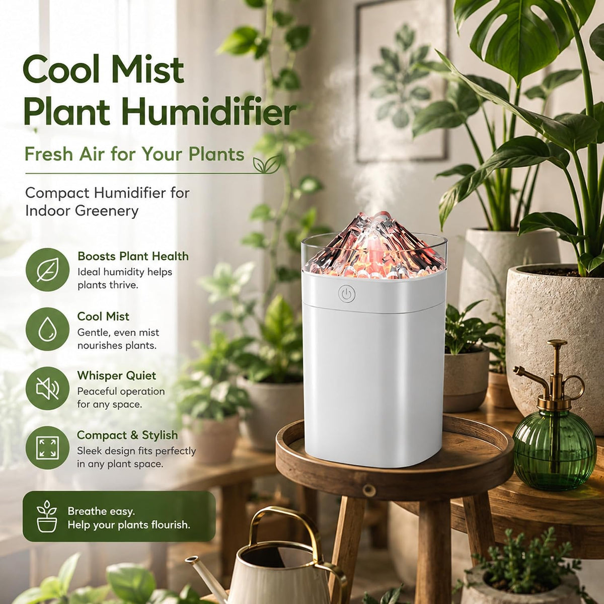 300ml Cool Mist 7 Colorful Lights Humidifier, 10-20 Hour Runtime for Plants