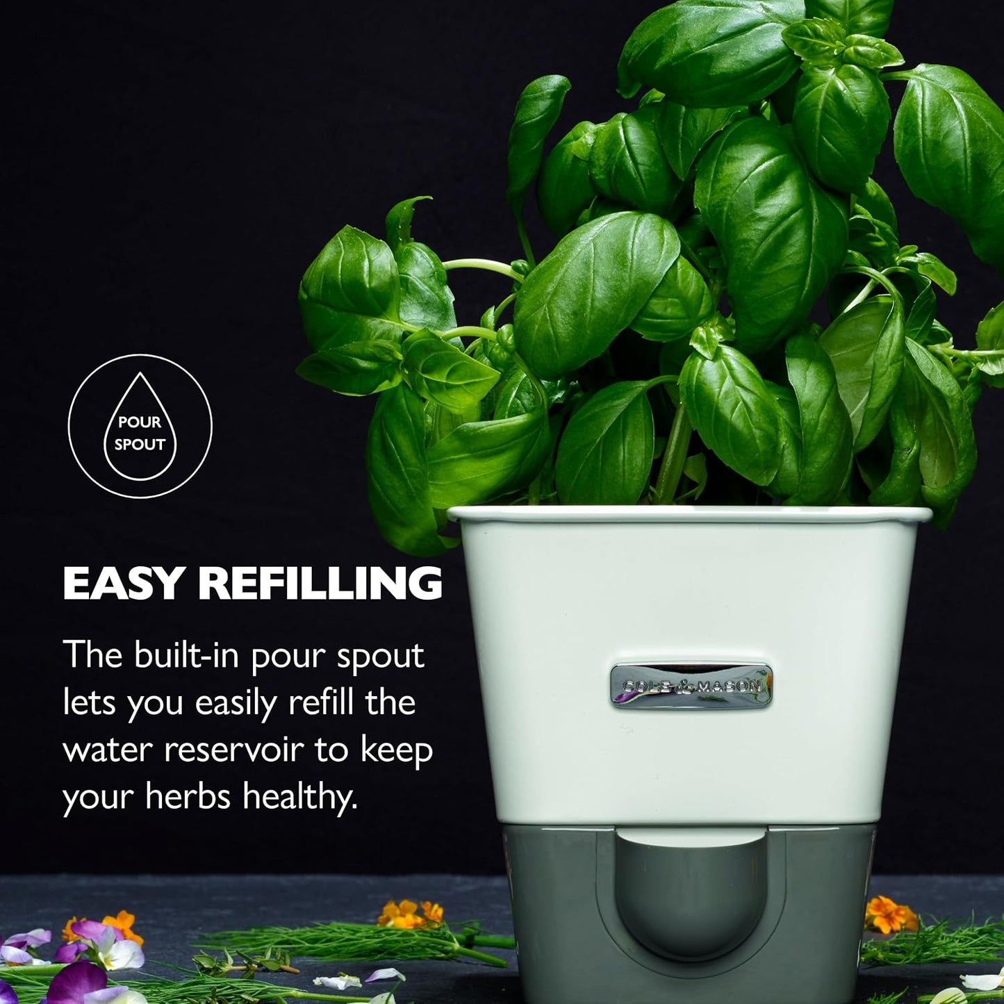 Cole & Mason Fresh Herb Keeper - Acrylic Storage Container for Refrigerator - Storage for Herbs & Vegetables for Fridge - Fresh Herb Keeper