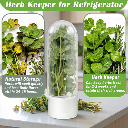 Ideal Swan Herb Keeper, 3 Pack Herb Saver Refrigerator for Cilantro & Herbs | Keeps herbs fresh 2-3 weeks. 3 pack stores cilantro, parsley, asparagus, lettuce. Easy-clean, stackable, fits fridge shelves.