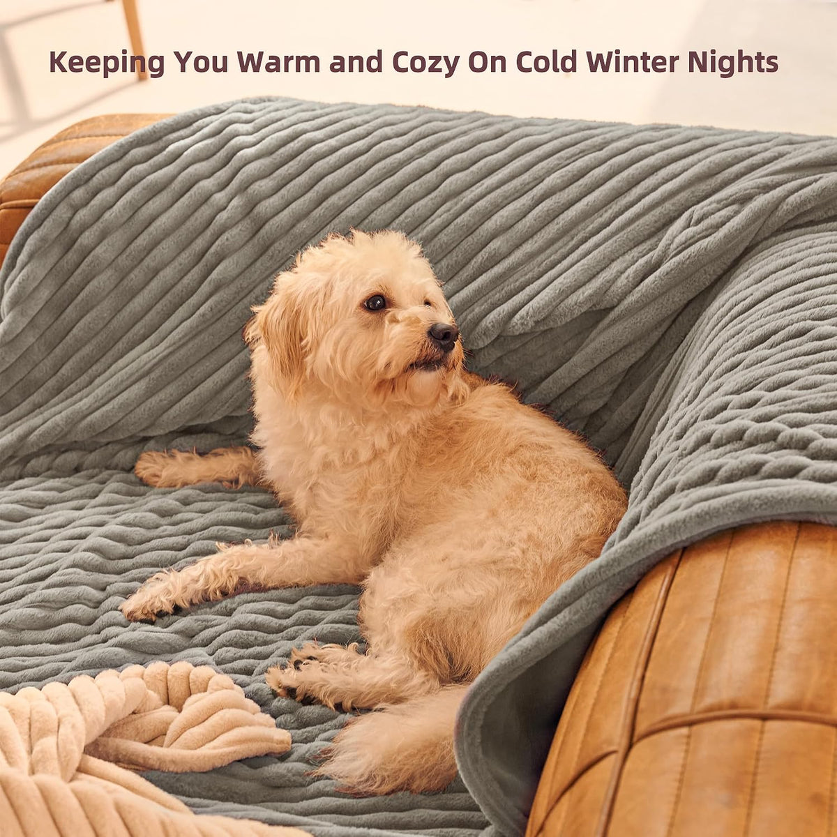 GOTCOZY Heated Blanket-Soft Plush Electric Blanket 50"X60"(Grey)