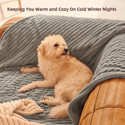 GOTCOZY Heated Blanket-Soft Plush Electric Blanket 50"X60"(Grey)