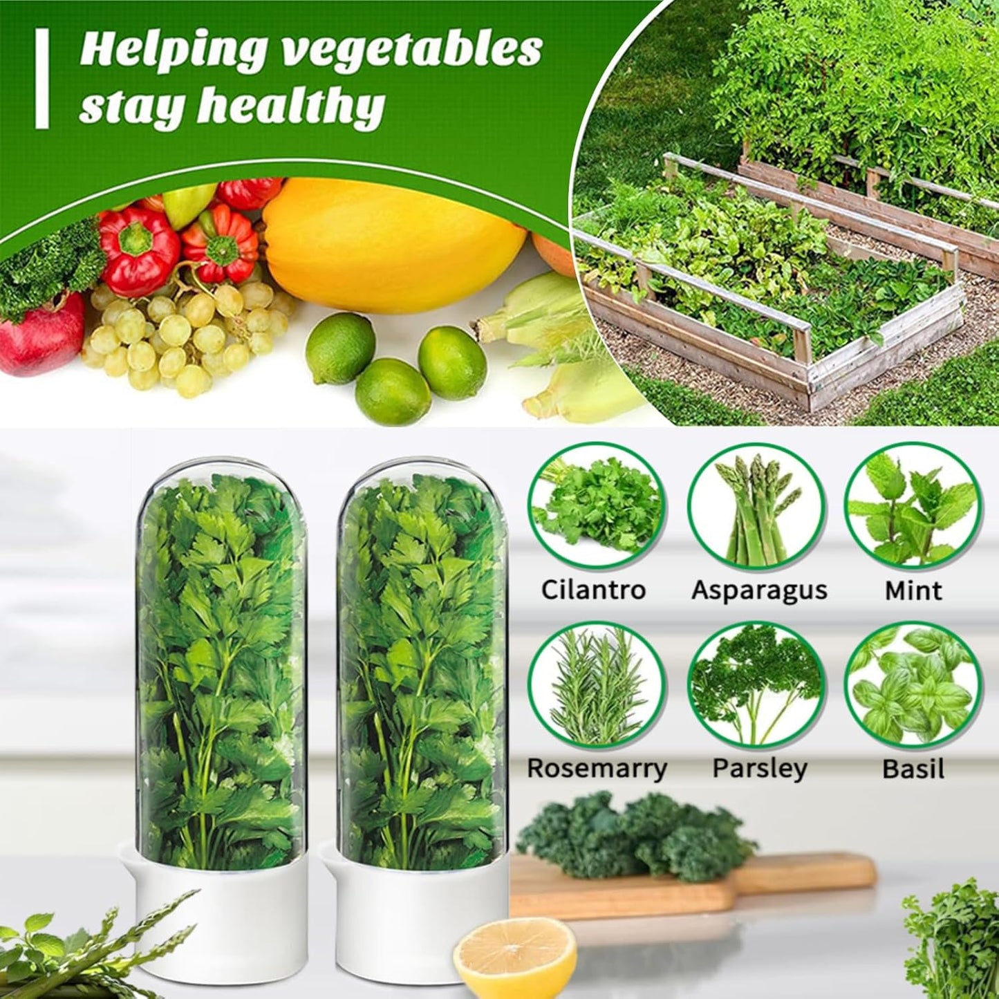 Herb Saver for Refrigerator - Herb Keeper & Cilantro Container for Fridge | Vegetable Preservation Storage Container for Cilantro, Basil, Asparagus | Extends Freshness Up to 2-3 Weeks