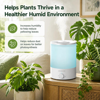 MEGAWISE 3.5L Cool Mist Humidifier with Top Refill, Large Capacity of 3.5L, Easy Safe and Convenient for Home + 7 Night light Colors